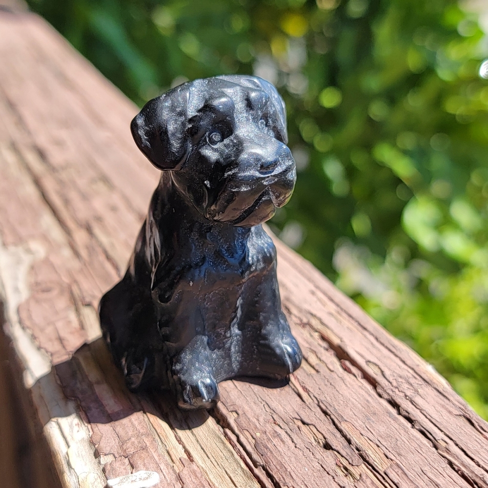 SOLD ❌️ NEW 1.33" x 2.37" BLACK OBISIDIAN SCHNAUZER